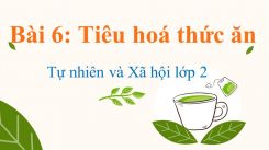 Tự nhiên và Xã hội lớp 2 Bài 6: Tiêu hoá thức ăn