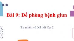 Tự nhiên và Xã hội lớp 2 Bài 9: Đề phòng bệnh giun