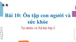 Tự nhiên và Xã hội lớp 2 Bài 10: Ôn tập con người và sức khỏe