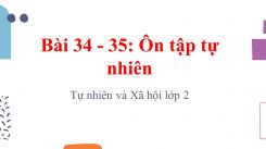 Tự nhiên và Xã hội lớp 2 Bài 34 - 35: Ôn tập tự nhiên