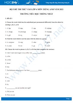 Bộ 5 đề thi thử vào lớp 6 môn Tiếng Anh năm 2021 Trường Tiểu học Thống Nhất