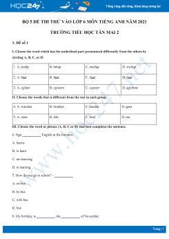 Bộ 5 đề thi thử vào lớp 6 môn Tiếng Anh năm 2021 Trường Tiểu học Tân Mai 2