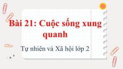 Tự nhiên và Xã hội lớp 2 Bài 21: Cuộc sống xung quanh