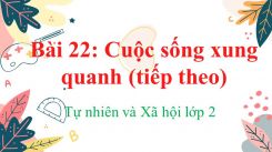 Tự nhiên và Xã hội lớp 2 Bài 22: Cuộc sống xung quanh (tiếp theo)