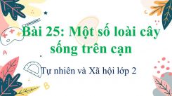 Tự nhiên và Xã hội lớp 2 Bài 25: Một số loài cây sống trên cạn