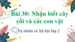 Tự nhiên và Xã hội lớp 2 Bài 30: Nhận biết cây cối và các con vật