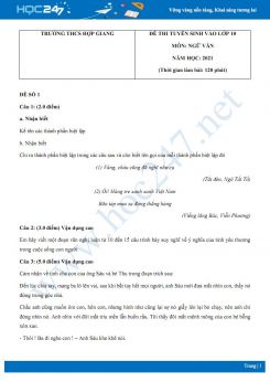 Bộ 3 đề thi tuyển sinh vào lớp 10 năm 2021 môn Ngữ Văn - Trường THCS Hợp Giang