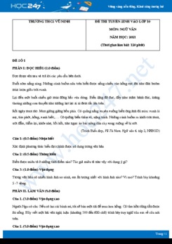 Bộ 3 đề thi tuyển sinh vào lớp 10 năm 2021 môn Ngữ Văn - Trường THCS Vũ Ninh