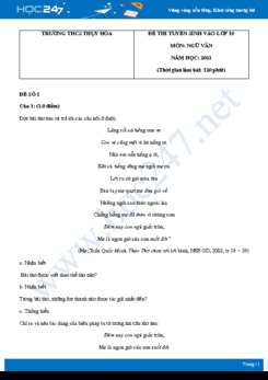 Bộ 4 đề thi tuyển sinh vào lớp 10 năm 2021 môn Ngữ Văn - Trường THCS Thụy Hòa