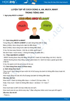 Luyện tập về cách dùng của a, an, much, many trong Tiếng Anh
