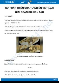 Chuyên đề Sự phát triển của tự nhiên Việt Nam giai đoạn Cổ kiến tạo môn Địa Lý 8 năm 2021