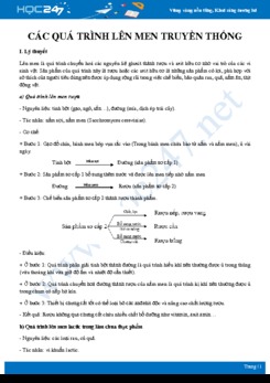 Luyện tập Các quá trình lên men truyền thống Sinh học 10