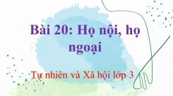 Tự nhiên và Xã hội 3 Bài 20: Họ nội, họ ngoại