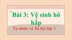 Tự nhiên và Xã hội 3 Bài 3: Vệ sinh hô hấp