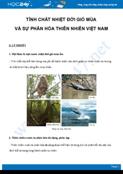 Tính chất nhiệt đới gió mùa và sự phân hóa thiên nhiên Việt Nam môn Địa Lý 8 năm 2021