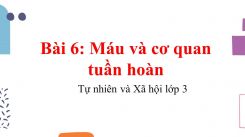 Tự nhiên và Xã hội 3 Bài 6: Máu và cơ quan tuần hoàn