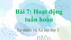 Tự nhiên và Xã hội 3 Bài 7: Hoạt động tuần hoàn