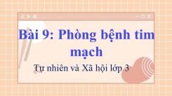 Tự nhiên và Xã hội 3 Bài 9: Phòng bệnh tim mạch