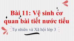 Tự nhiên và Xã hội 3 Bài 11: Vệ sinh cơ quan bài tiết nước tiểu