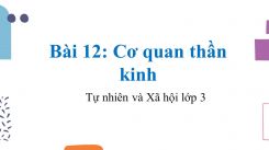 Tự nhiên và Xã hội 3 Bài 12: Cơ quan thần kinh