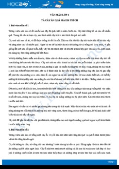 Tả cây ăn quả mà em thích - Văn mẫu lớp 4