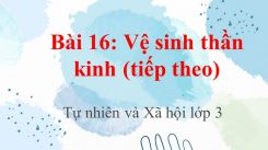 Tự nhiên và Xã hội 3 Bài 16: Vệ sinh thần kinh (tiếp theo)