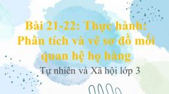Tự nhiên và Xã hội 3 Bài 21-22: Thực hành: Phân tích và vẽ sơ đồ mối quan hệ họ hàng