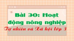Tự nhiên và Xã hội 3 Bài 30: Hoạt động nông nghiệp
