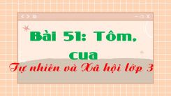 Tự nhiên và Xã hội 3 Bài 51: Tôm, cua