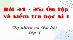 Tự nhiên và Xã hội 3 Bài 34-35: Ôn tập và kiểm tra học kì I
