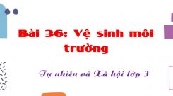 Tự nhiên và Xã hội 3 Bài 36: Vệ sinh môi trường