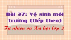 Tự nhiên và Xã hội 3 Bài 37: Vệ sinh môi trường (tiếp theo)
