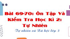 Tự nhiên và Xã hội 3 Bài 69-70: Ôn Tập Và Kiểm Tra Học Kì 2: Tự Nhiên