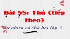 Tự nhiên và Xã hội 3 Bài 55: Thú (tiếp theo)