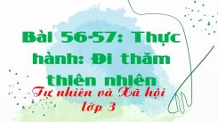 Tự nhiên và Xã hội 3 Bài 56-57: Thực hành: Đi thăm thiên nhiên