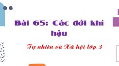 Tự nhiên và Xã hội 3 Bài 65: Các đới khí hậu
