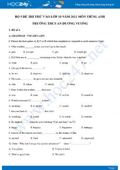 Bộ 5 đề thi thử vào lớp 10 năm 2021 môn Tiếng Anh Trường THCS An Dương Vương