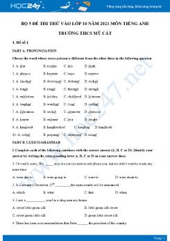 Bộ 5 đề thi thử vào lớp 10 năm 2021 môn Tiếng Anh Trường THCS Mỹ Cát