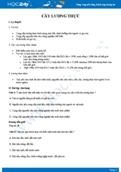 Chuyên đề Đặc điểm cây lương thực ở nước ta Địa lí 10