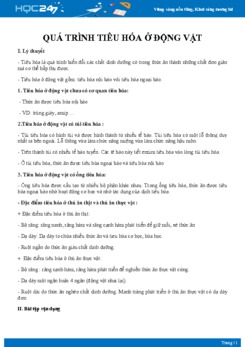 Chuyên đề Quá trình tiêu hóa ở động vật Sinh học 11