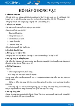 Kiến thức trọng tâm Quá trình hô hấp ở động vật Sinh học 11