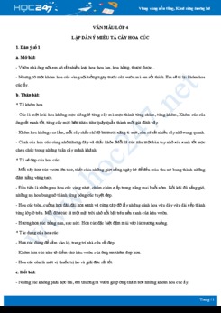 Lập dàn ý miêu tả cây hoa cúc - Văn mẫu lớp 4