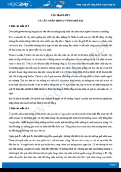 Tả cây nhãn trong vườn nhà em - Văn mẫu lớp 4