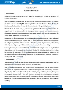 Tả chiếc ti vi nhà em - Văn mẫu lớp 5