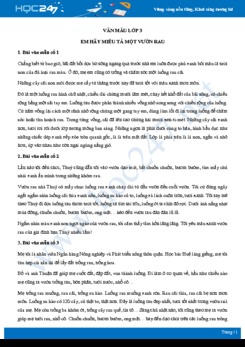 Em hãy miêu tả một vườn rau - Văn mẫu lớp 3