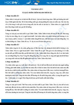 Tả quả chôm chôm mà em thích ăn - Văn mẫu lớp 3