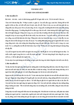 Tả một con suối mà em biết - Văn mẫu lớp 5