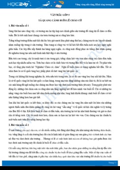 Tả quang cảnh buổi lễ chào cờ - Văn mẫu lớp 5