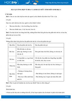 Bài tập tổng hợp về Hoa và Sinh sản hữu tính môn Sinh học 6 có đáp án