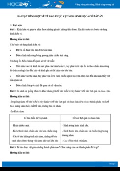 Bài tập tổng hợp về Tế Bào Thực Vật môn Sinh học 6 có đáp án